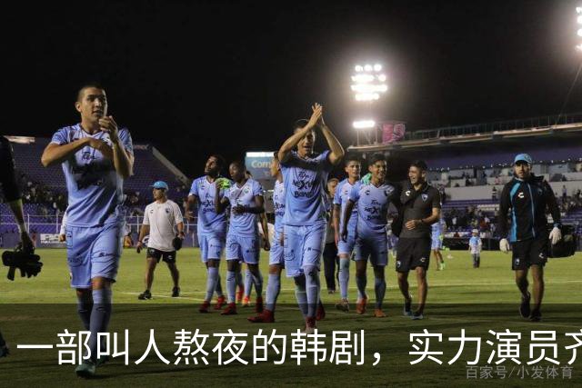 一部叫人熬夜的韩剧，实力演员齐聚成黑马！